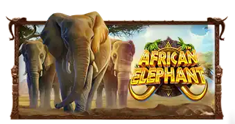 African Elephant™