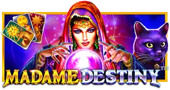 Madame Destiny™