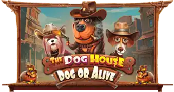 The Dog House – Dog or Alive